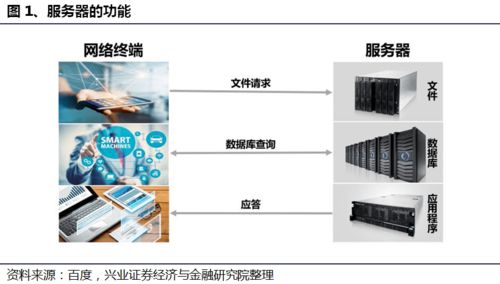 美国服务器托管优势，提升网站性能与可靠性的关键因素