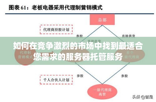 如何在竞争激烈的市场中找到最适合您需求的服务器托管服务