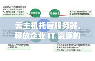 云主机托管服务器，释放企业 IT 资源的新途径