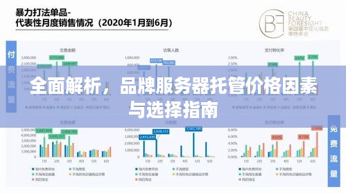 全面解析，品牌服务器托管价格因素与选择指南