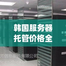 韩国服务器托管价格全解析，为什么选择韩国服务器及合理价位攻略