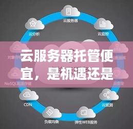 云服务器托管便宜，是机遇还是陷阱？