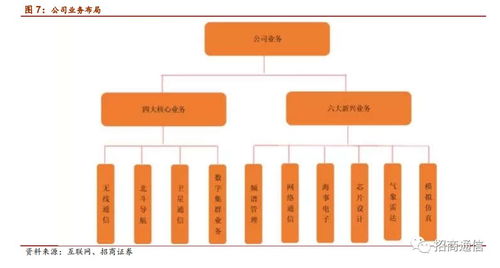 保障您的业务安全，单服务器托管的优势与挑战