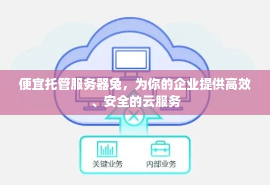 便宜托管服务器兔，为你的企业提供高效、安全的云服务