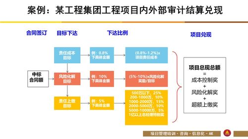 托管服务器项目职责详解，从规划到实施的全面掌控