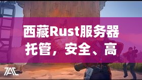 西藏Rust服务器托管，安全、高效与稳定性的完美结合