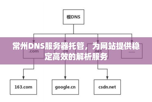 常州DNS服务器托管，为网站提供稳定高效的解析服务