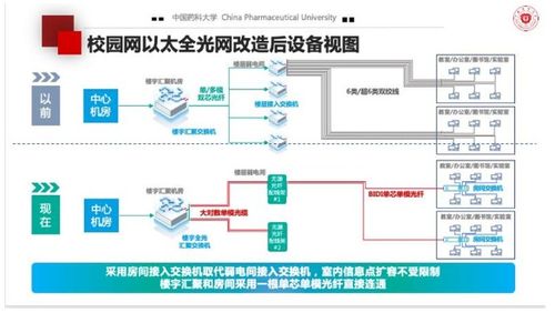 温州全域服务器托管，构建高效、安全的网络基础设施