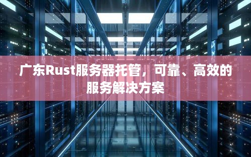 广东Rust服务器托管，可靠、高效的服务解决方案