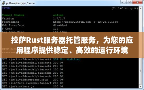 拉萨Rust服务器托管服务，为您的应用程序提供稳定、高效的运行环境