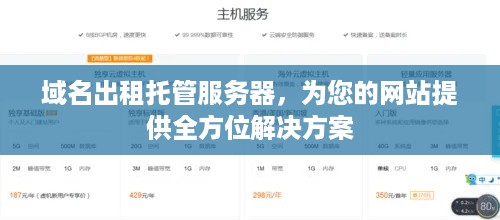 域名出租托管服务器，为您的网站提供全方位解决方案