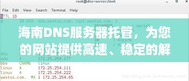 海南DNS服务器托管，为您的网站提供高速、稳定的解析服务