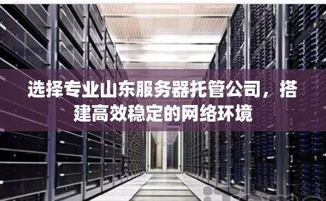 选择专业山东服务器托管公司，搭建高效稳定的网络环境