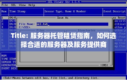 Title: 服务器托管租赁指南，如何选择合适的服务器及服务提供商