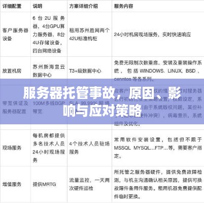 服务器托管事故，原因、影响与应对策略