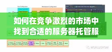 如何在竞争激烈的市场中找到合适的服务器托管服务提供商？