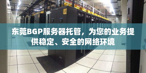 东莞BGP服务器托管，为您的业务提供稳定、安全的网络环境