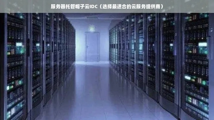 服务器IDC托管原理，构建稳定、高效的云计算环境