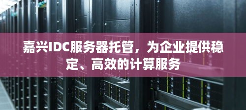 嘉兴IDC服务器托管，为企业提供稳定、高效的计算服务