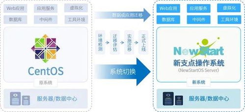 乌鲁木齐XP服务器托管，为您的业务提供安全、稳定和高效的计算支持