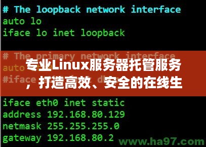 专业Linux服务器托管服务，打造高效、安全的在线生态系统