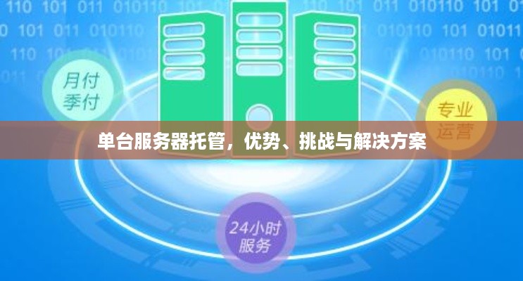 单台服务器托管，优势、挑战与解决方案