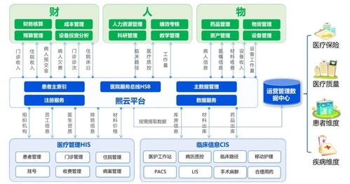 托管企业账务，优化业务运营与财务管理的新视角