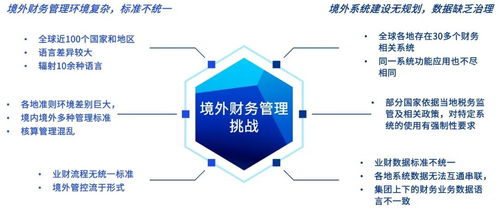 托管企业账务，优化业务运营与财务管理的新视角