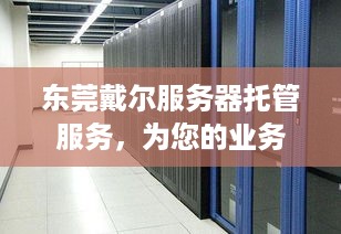 东莞戴尔服务器托管服务，为您的业务提供稳定、高效的计算支持