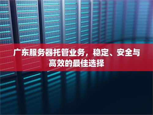 广东服务器托管业务，稳定、安全与高效的最佳选择