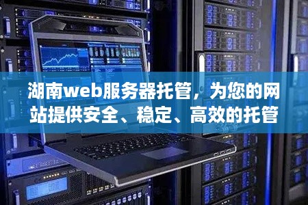 湖南web服务器托管，为您的网站提供安全、稳定、高效的托管服务