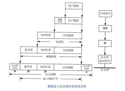 详解企业服务器托管协议，确保数据安全与业务连续性的关键要素