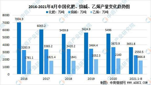 郑州服务器托管服务的价格因素与行业现状分析