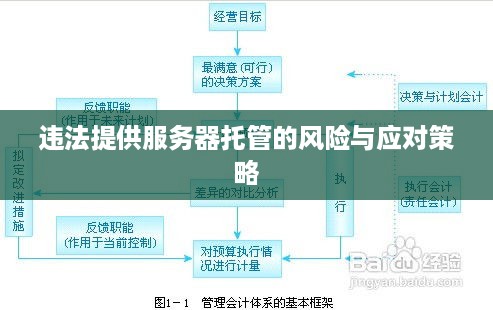 违法提供服务器托管的风险与应对策略