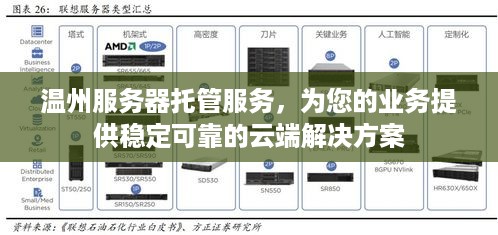 温州服务器托管服务，为您的业务提供稳定可靠的云端解决方案