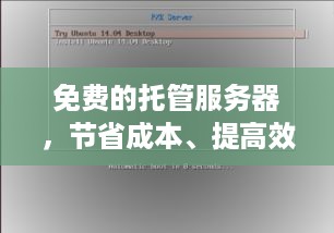 免费的托管服务器，节省成本、提高效率与灵活性的完美结合