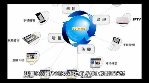 托管服务器和VPS:了解它们的优缺点及如何选择