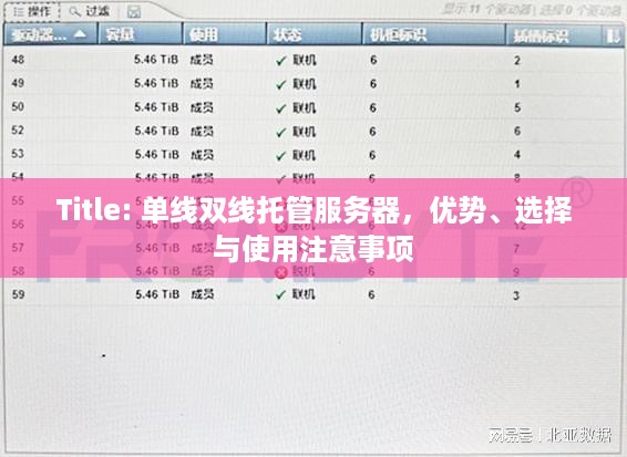 Title: 单线双线托管服务器，优势、选择与使用注意事项