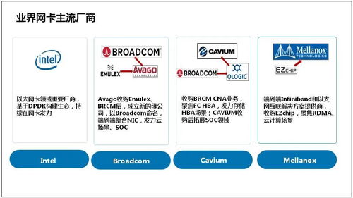 比特币服务器托管，安全性、可靠性与成本效益的完美融合