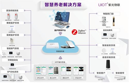 服务器托管与上网，如何选择合适的解决方案