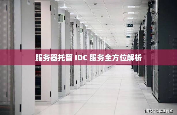 服务器托管 IDC 服务全方位解析