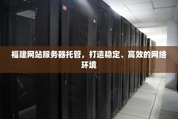 福建网站服务器托管，打造稳定、高效的网络环境