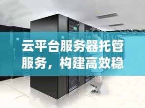 云平台服务器托管服务，构建高效稳定的企业IT基础设施