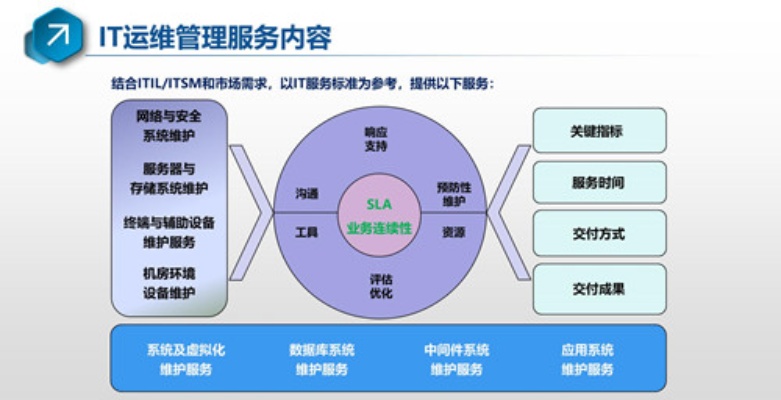 优化IT运营，为何选择服务器运维托管服务采购