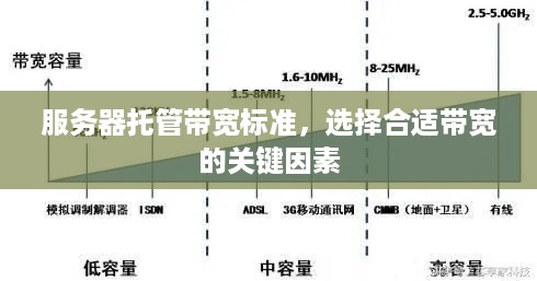 服务器托管带宽标准，选择合适带宽的关键因素