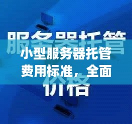 小型服务器托管费用标准，全面解析与选择建议