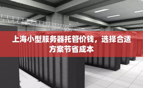 上海小型服务器托管价钱，选择合适方案节省成本