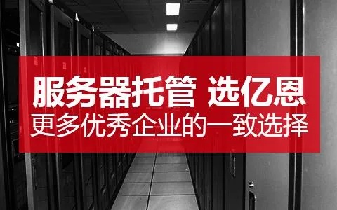 浙江省内个人服务器托管报价详析