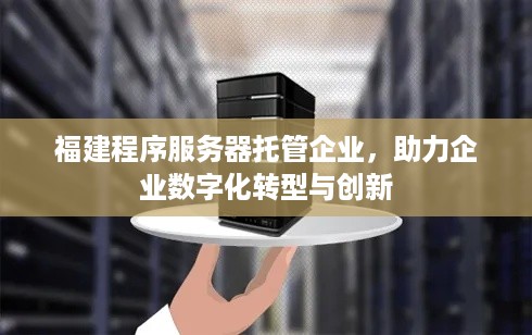 福建程序服务器托管企业，助力企业数字化转型与创新