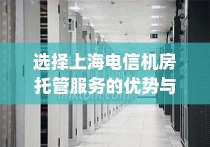 选择上海电信机房托管服务的优势与注意事项